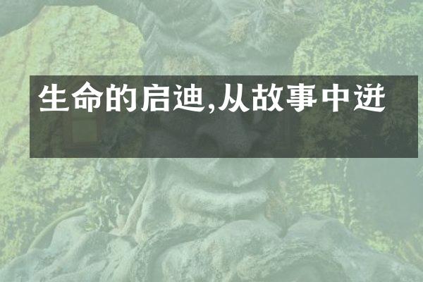 生命的启迪,从故事中迸发