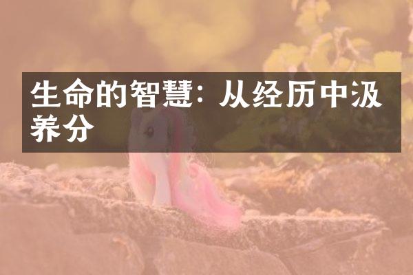 生命的智慧: 从经历中汲取养分