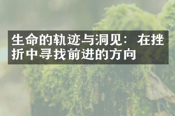 生命的轨迹与洞见：在挫折中寻找前进的方向