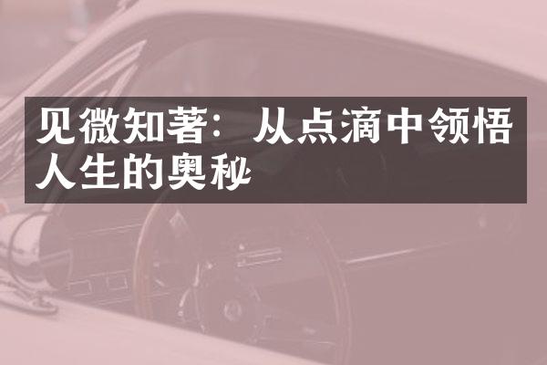 见微知著：从点滴中领悟人生的奥秘