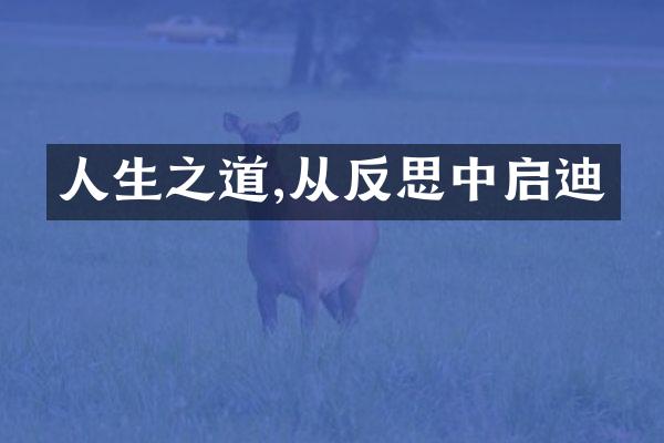 人生之道,从反思中启迪