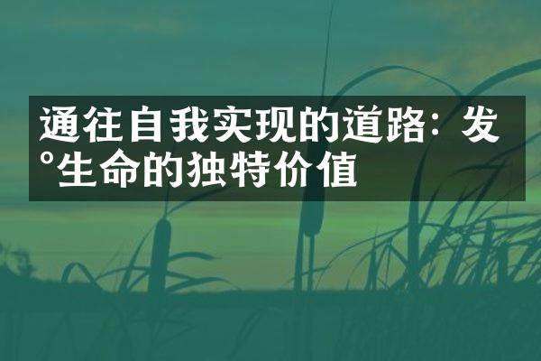 通往自我实现的道路: 发现生命的独特价值