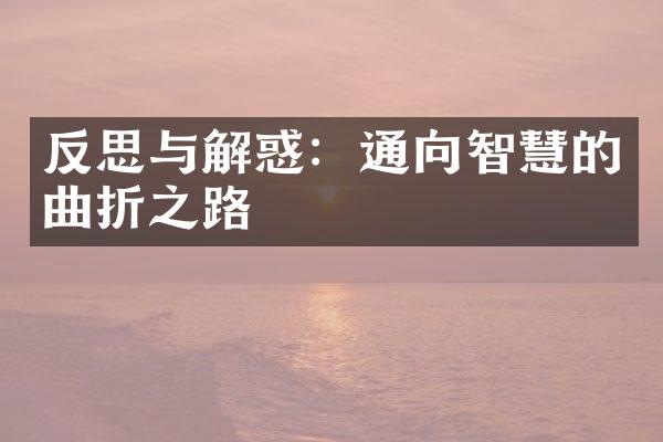 反思与解惑：通向智慧的曲折之路