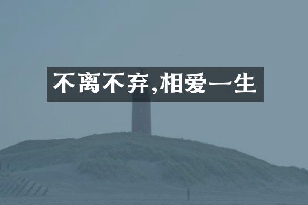 不离不弃,相爱一生