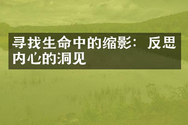 寻找生命中的缩影：反思内心的洞见