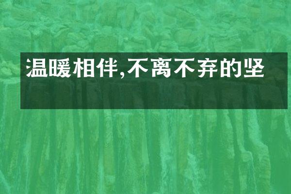 温暖相伴,不离不弃的坚守