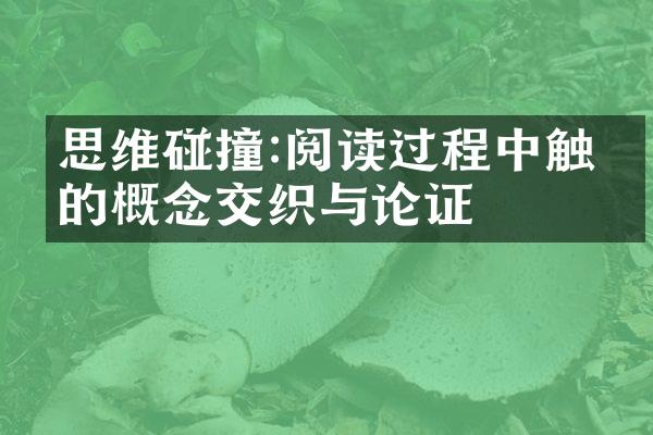 思维碰撞:阅读过程中触发的概念交织与论证