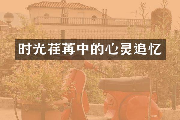 时光荏苒中的心灵追忆