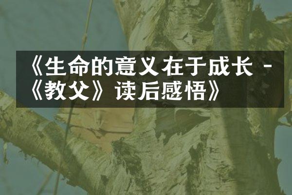 《生命的意义在于成长 - 《教父》读后感悟》