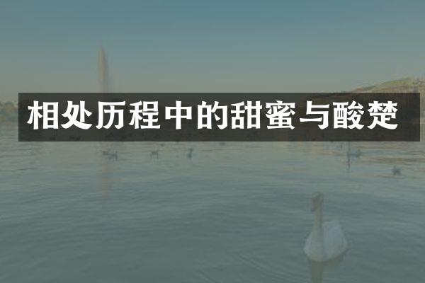 相处中的甜蜜与酸楚