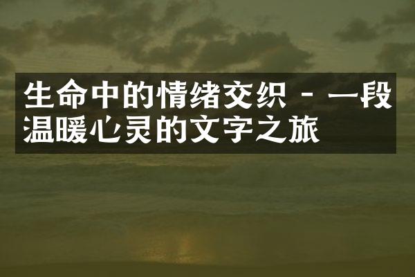 生命中的情绪交织 - 一段温暖心灵的文字之旅