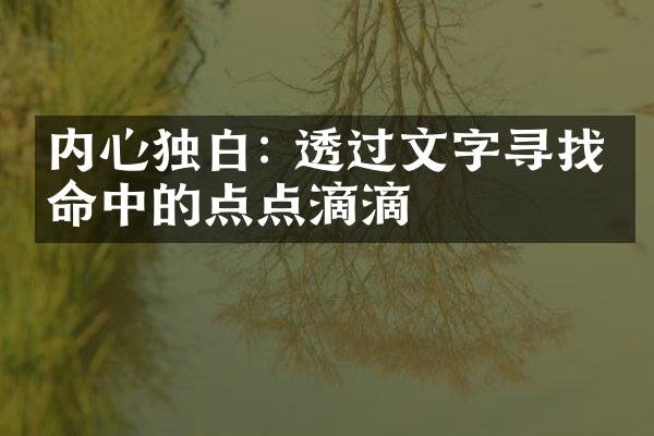 内心独白: 透过文字寻找生命中的点点滴滴