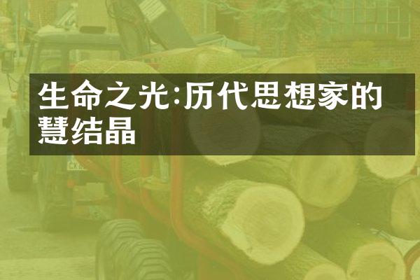 生命之光:历代思想家的智慧结晶