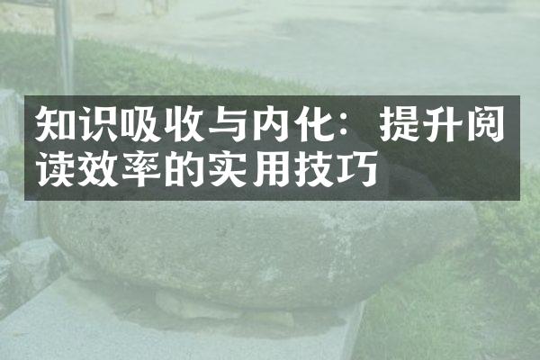 知识吸收与内化：提升阅读效率的实用技巧