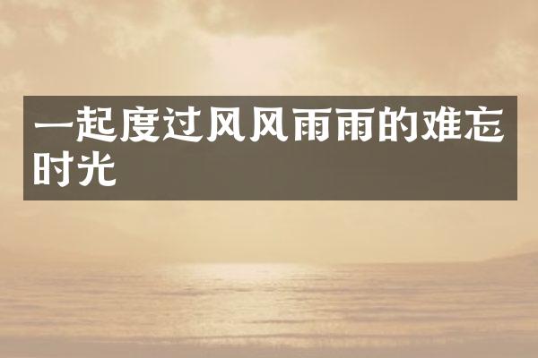 一起度过风风雨雨的难忘时光