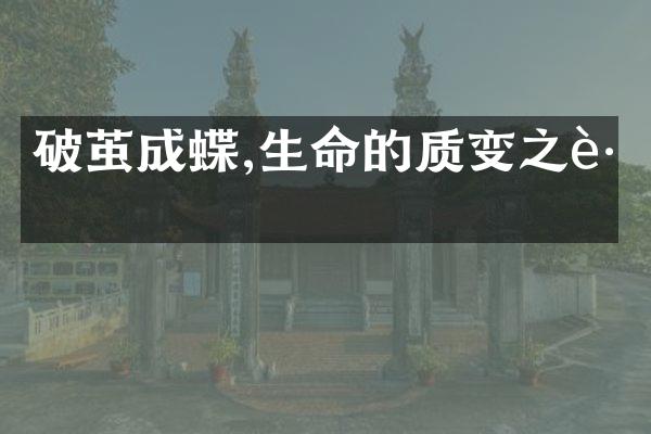 破茧成蝶,生命的质变之路