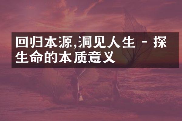 回归本源,洞见人生 - 探寻生命的本质意义