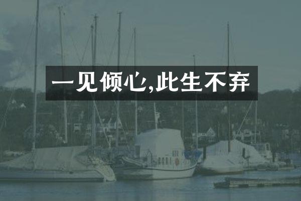 一见倾心,此生不弃