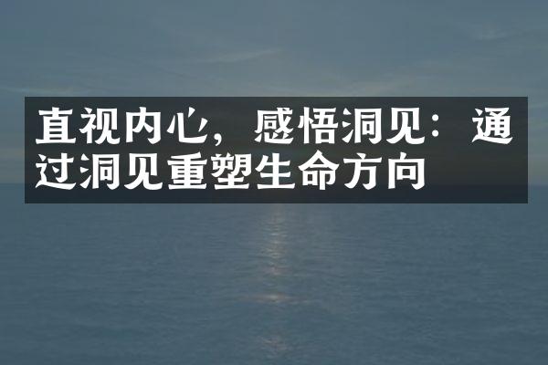 直视内心，感悟洞见：通过洞见重塑生命方向