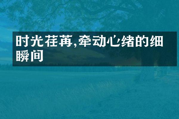 时光荏苒,牵动心绪的细碎瞬间