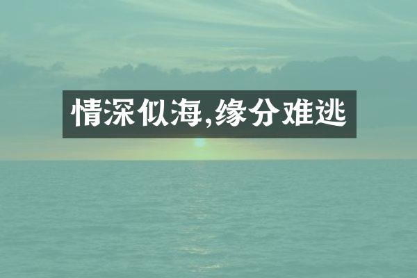 情深似海,缘分难逃
