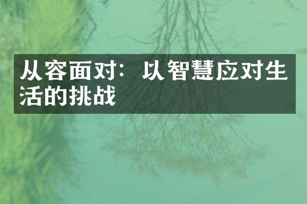 从容面对：以智慧应对生活的挑战