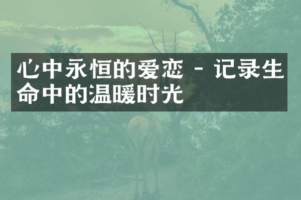 心中永恒的爱恋 - 记录生命中的温暖时光