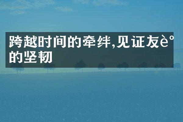 跨越时间的牵绊,见证友谊的坚韧
