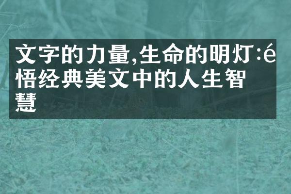 文字的力量,生命的明灯:领悟经典美文中的人生智慧