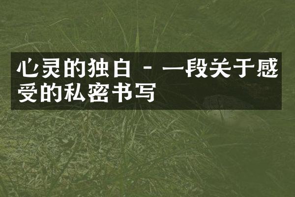 心灵的独白 - 一段关于感受的私密书写