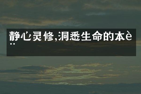 静心灵修,洞悉生命的本质
