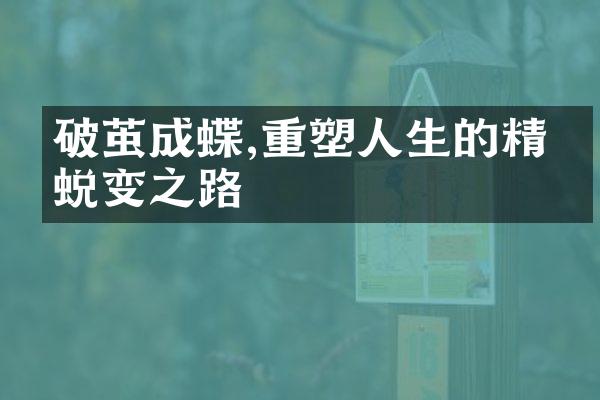 破茧成蝶,重塑人生的精彩蜕变之路