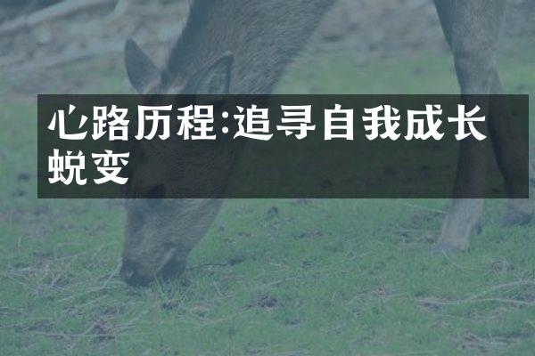 心路:追寻自我成长的蜕变
