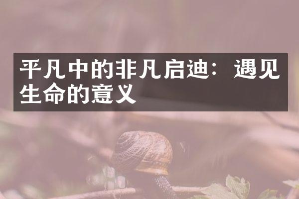 平凡中的非凡启迪：遇见生命的意义