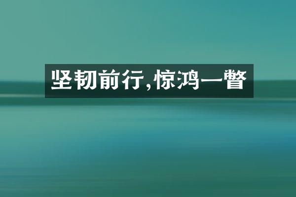 坚韧前行,惊鸿一瞥