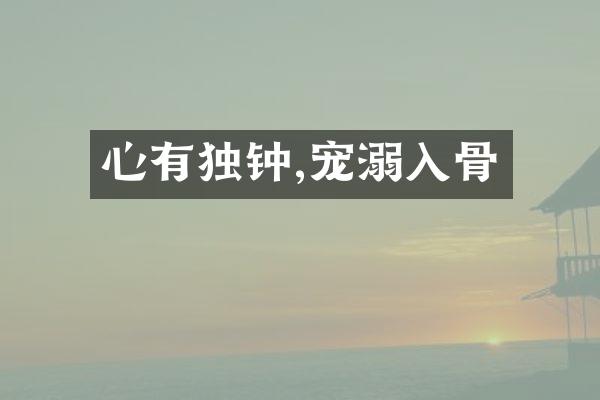 心有独钟,宠溺入骨