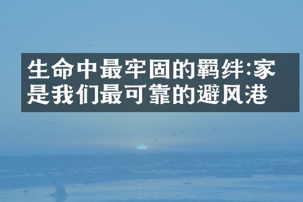 生命中最牢固的羁绊:家人是我们最可靠的避风港