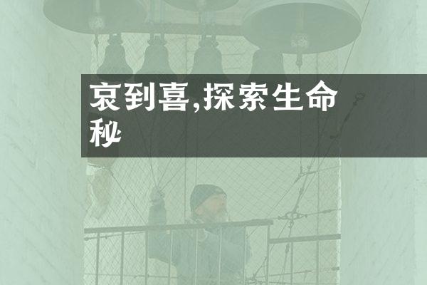 從哀傷到喜悅,探索生命的奧秘