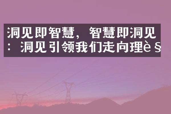 洞见即智慧，智慧即洞见：洞见引领我们走向理解