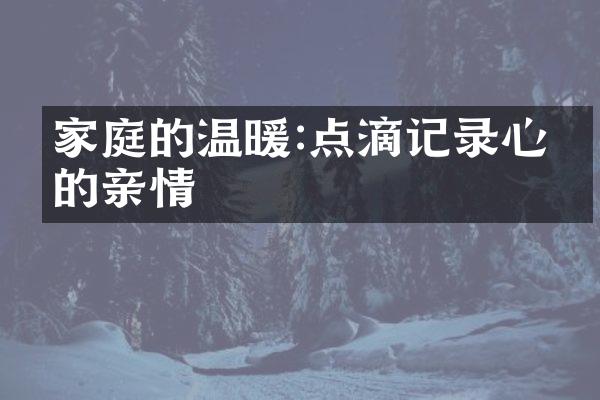家庭的温暖:点滴记录心中的亲情