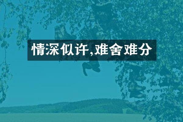 情深似许,难舍难分