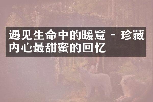 遇见生命中的暖意 - 珍藏内心最甜蜜的回忆