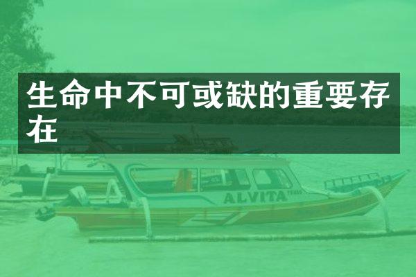 生命中不可或缺的重要存在