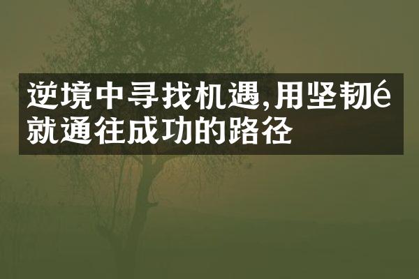 逆境中寻找机遇,用坚韧铺就通往成功的路径