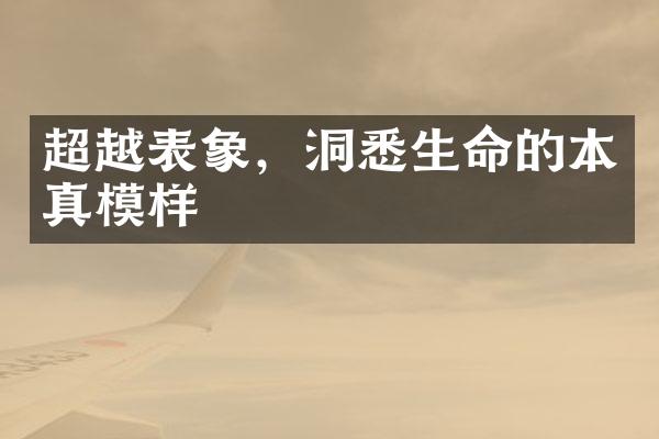 超越表象，洞悉生命的本真模样
