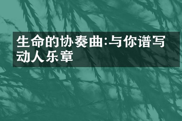 生命的协奏曲:与你谱写的动人乐章
