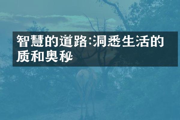 智慧的道路:洞悉生活的本质和奥秘