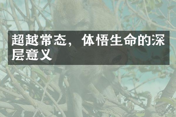 超越常态，体悟生命的深层意义