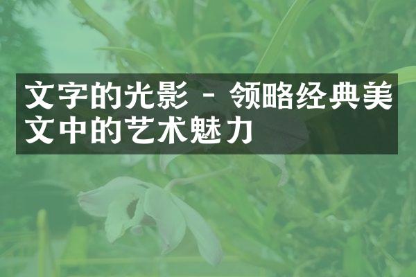 文字的光影 - 领略经典美文中的艺术魅力