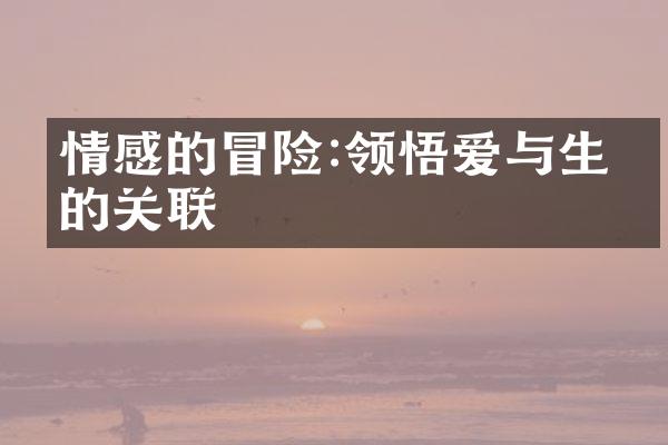 情感的冒险:领悟爱与生命的关联